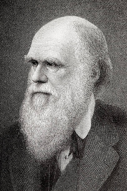 gravieren der wissenschaftler charles darwin aus 1882 - charles darwin engraved image old fashioned etching stock-grafiken, -clipart, -cartoons und -symbole