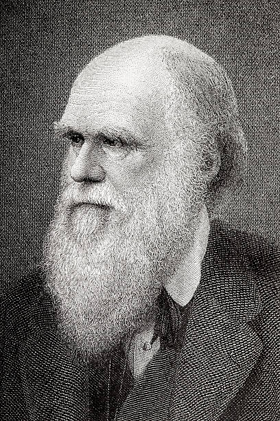 illustrations, cliparts, dessins animés et icônes de gravure de scientifique charles darwin en 1882 - charles darwin engraved image old fashioned etching