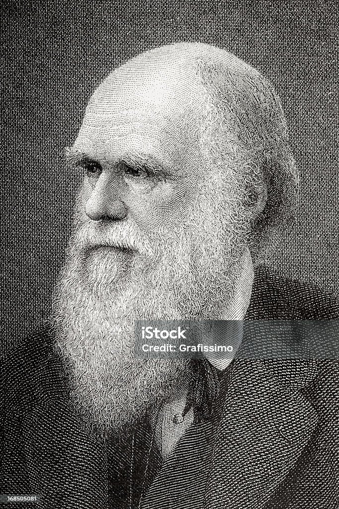 Entalhes de cientista Charles Darwin desde 1882 - Ilustração de Charles Robert Darwin - Ciência royalty-free