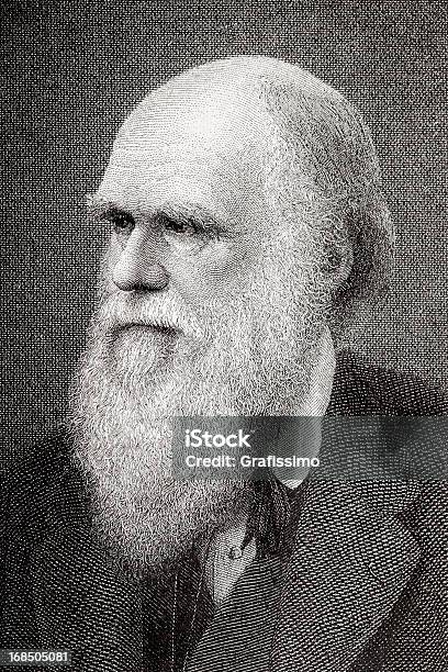 Vetores de Entalhes De Cientista Charles Darwin Desde 1882 e mais imagens de Charles Robert Darwin - Ciência - Charles Robert Darwin - Ciência, Evolução, Adulto