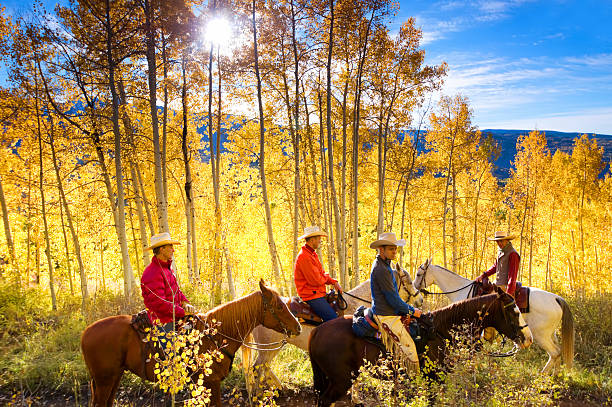 outono passeio a cavalo - horseback riding cowboy riding recreational pursuit - fotografias e filmes do acervo