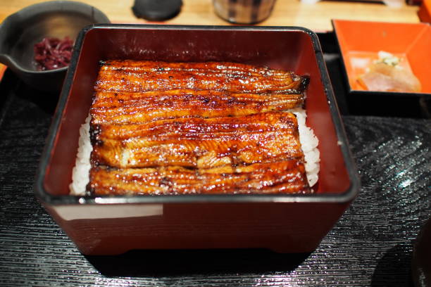 istock Japanese Eel food set 1685056911