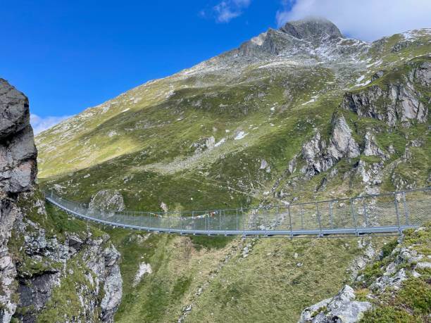 istock Suspension bridge at Greina Ebene in Grisons, Switzerland. 1685058491