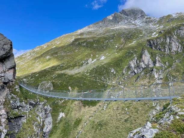 подвесной мост в грейна эбене в граубюндене, швейцария. - graubunden canton surselva panoramic scenics стоковые фото и изображения
