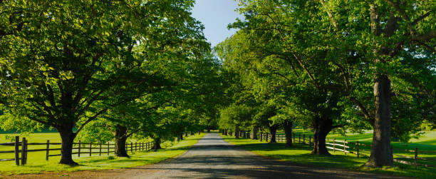 istock XXXL: Panorama of a rural scene 168507277
