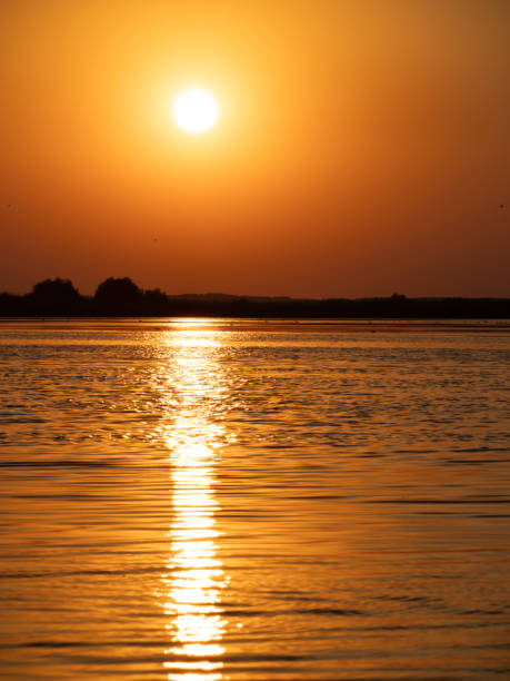 istock Sunset on Isaccel lake, Danube Delta, Romania 1685081656