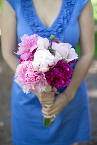 Woman holding bouquet of peonies stock photo