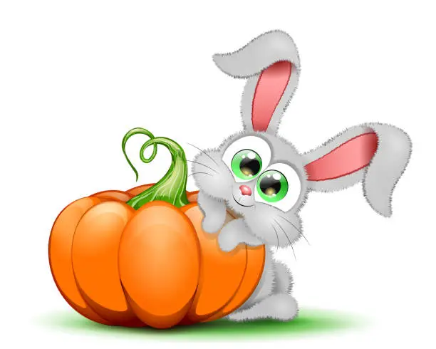 Vector illustration of Bunny with pumpkin
