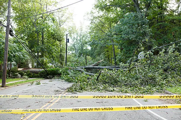A fallen tree across the road knocked down by Hurricane Irene. The large tree pulled down power lines and blocked the road. A bent speed limit sign can be seen. There is also "Fire Line" tape across the road. There were many power outages due to damaged power lines.