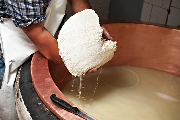In the cheese factory