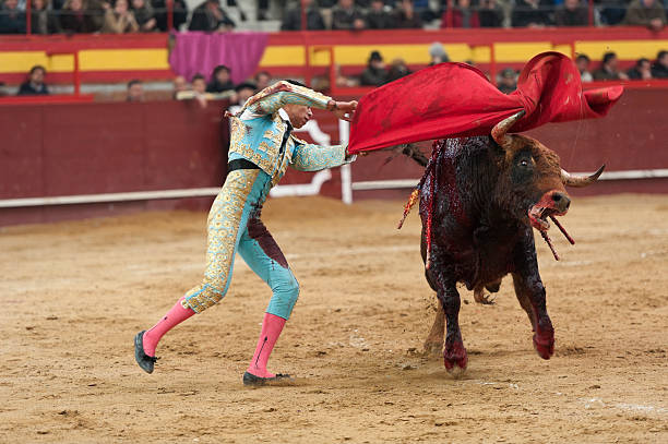 Bullfighter Bullfighter and bull in action. Spain banderilla stock pictures, royalty-free photos & images