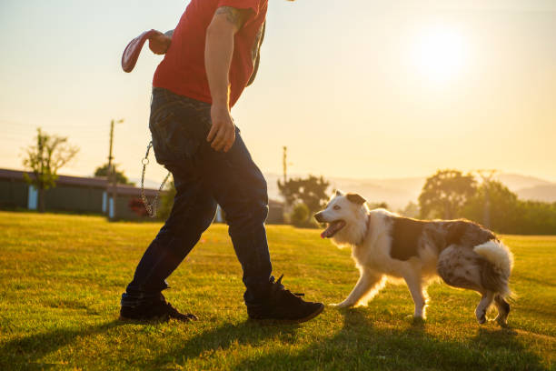 istock person playing with his dog 1685127046