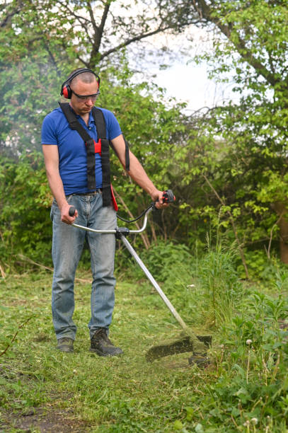 istock Man mowing tall grass. Process of lawn trimming with hand mower. 1685130800