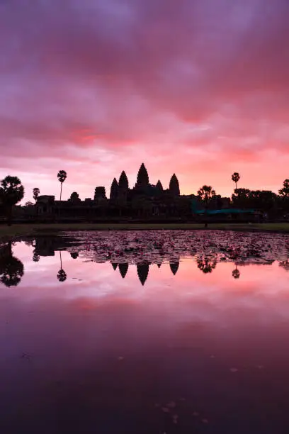 Photo of Angkor Wat  - Panorama