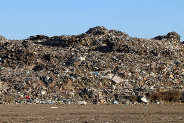istock urban garbage dump in the middle of the countryside 1685155402