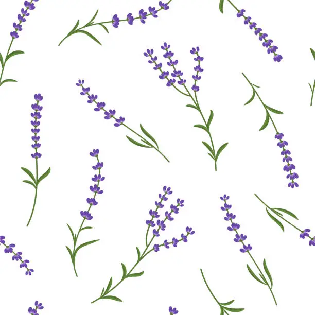 Vector illustration of Lavender sprigs vector seamless pattern