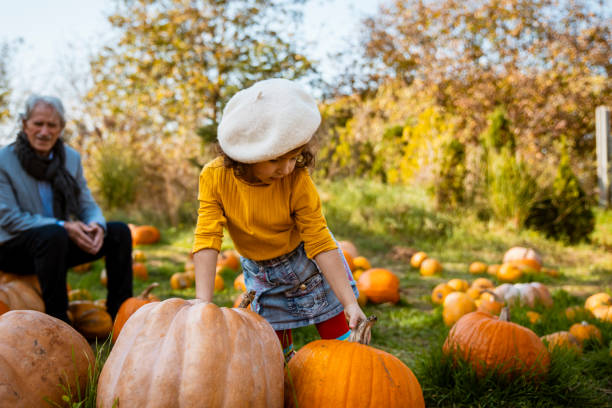 istock Choosing pumpkin for Halloween Holiday 1685175833