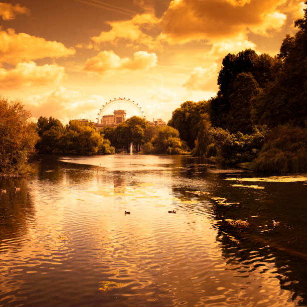 st james park à londres, au coucher du soleil - ferris wheel flash photos et images de collection