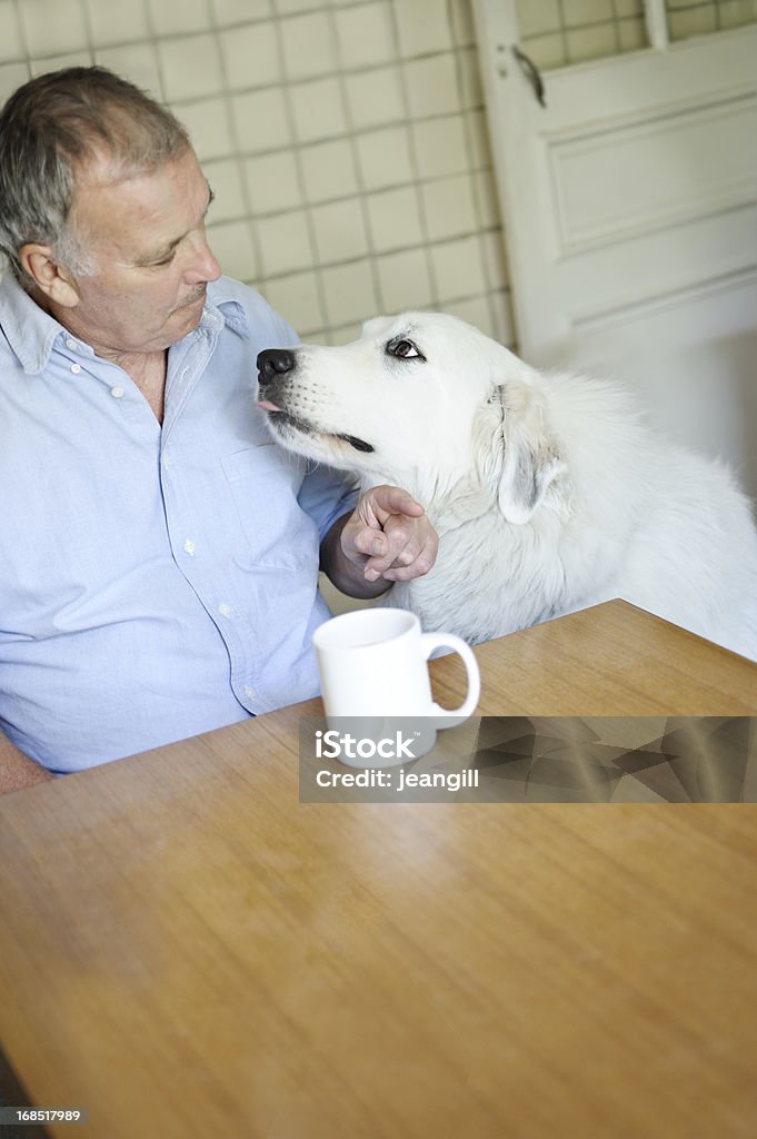 Hombre y el perro fiel - Foto de stock de Adulto libre de derechos