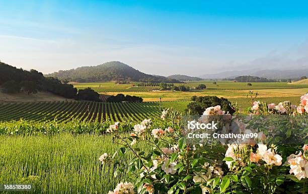 Foto de Napa Valley Paisagem De Primavera Nos Eua e mais fotos de stock de Vale de Napa - Vale de Napa, Vinhedo, Primavera - Estação do ano