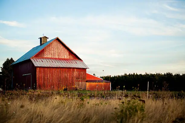 Photo of Summer Barn