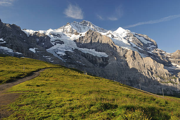 istock Swiss Alps in Summer 168518818