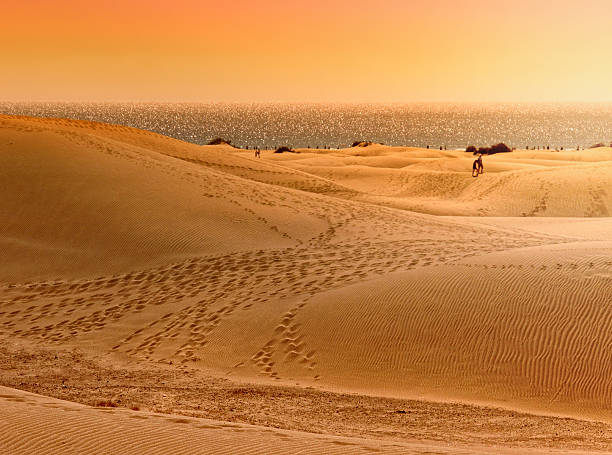 Sunset at Sand Dune of Maspalomas (Gran Canaria). 