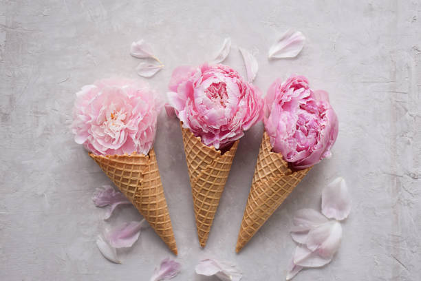 istock Pink peonies in three waffle ice cream cones 1685206951