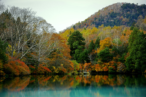 Japan, autumn leaves, scenery and travel