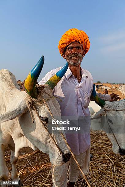 Cattleman - Fotografias de stock e mais imagens de Adulto - Adulto, Adulto maduro, Agricultor