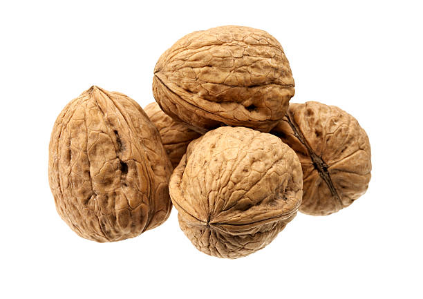 Close-up of five shelled walnuts over a white background