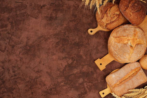 Freshly baked whole grain homemade bread, various varieties of round sourdough bread with crispy crust and ears of rye and wheat on a concrete background with space for text, modern baking concept,