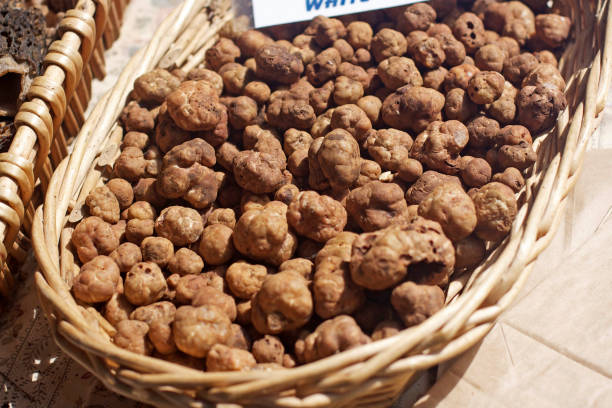 truffels branco - white truffle imagens e fotografias de stock