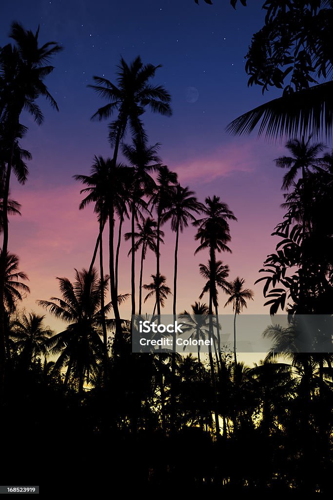 Samoano crepuscolo luna - Foto stock royalty-free di Notte