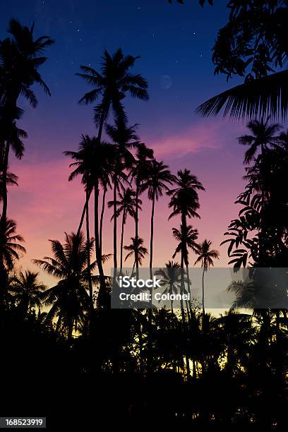 Samoano Crepuscolo Luna - Fotografie stock e altre immagini di Notte - Notte, Palma, Cielo