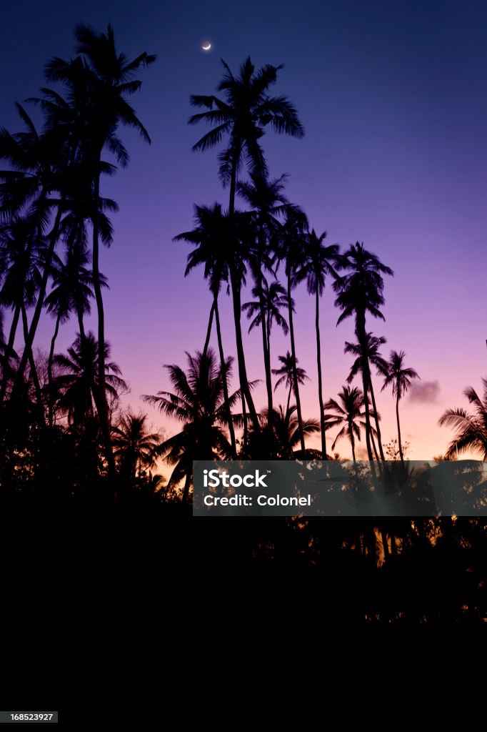 Noite Tropical-Daybreak Céu - Royalty-free Amanhecer Foto de stock