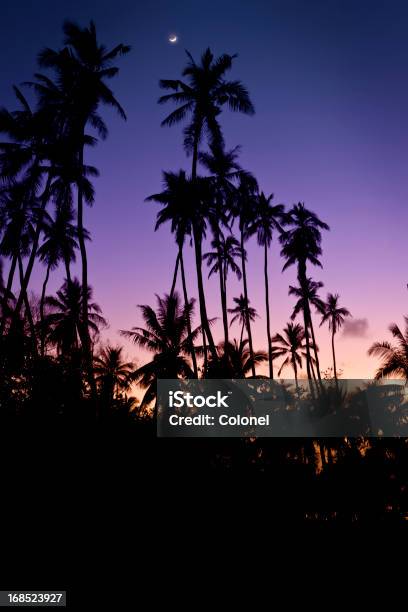 Noite Tropicaldaybreak Céu - Fotografias de stock e mais imagens de Amanhecer - Amanhecer, Beleza natural, Comemoração - Evento
