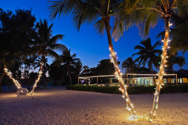 istock Christmas on the Beach, Cayman Islands 168525594
