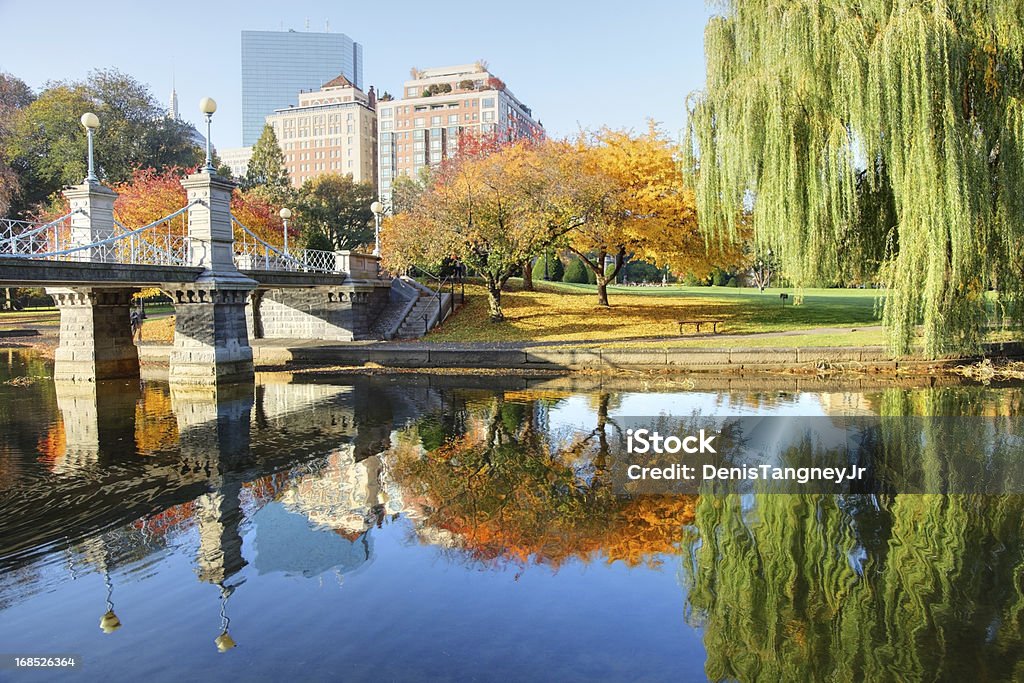 Outono em Boston - Foto de stock de Boston - Massachusetts royalty-free