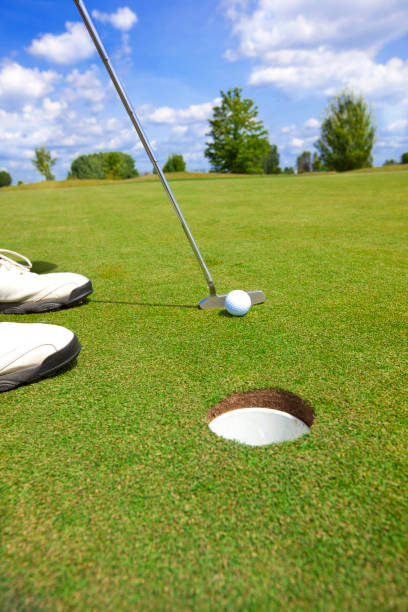 istock Picture of golfer putting a ball 168528225