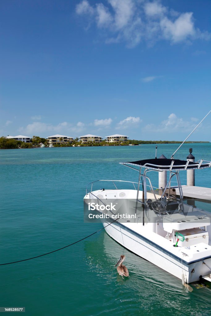 Key West - Zbiór zdjęć royalty-free (Łowić ryby)