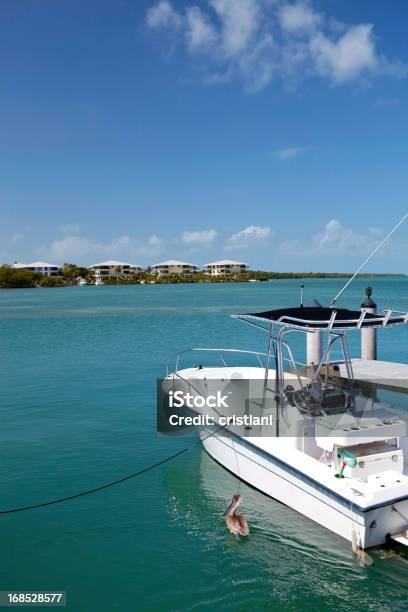 Key West - Fotografias de stock e mais imagens de Pesca - Pesca, Florida Keys, Key West