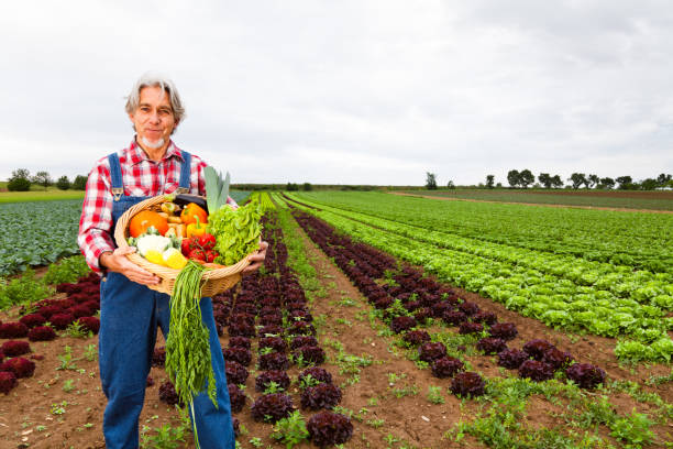 istock farmer standing in front of his field 168531528