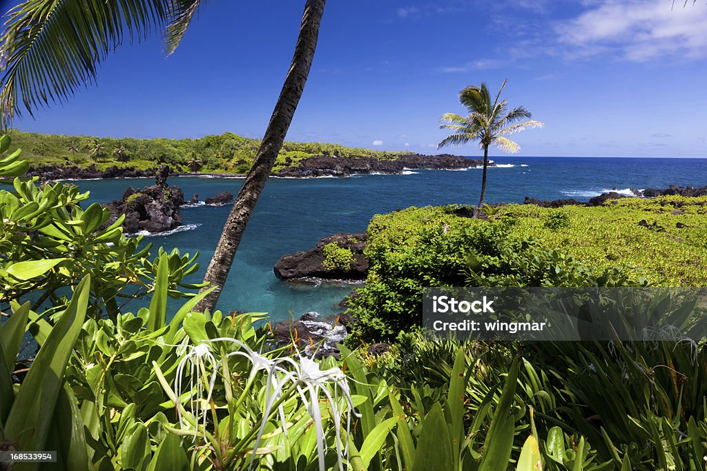 Idílica bay com palmeira e mar azul, maui, Havaí - Foto de stock de Atividade Recreativa royalty-free