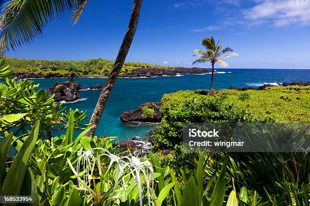 Foto de Idílica Bay Com Palmeira E Mar Azul Maui Havaí e mais fotos de stock de Atividade Recreativa - Atividade Recreativa, Branco, Cabeça da flor