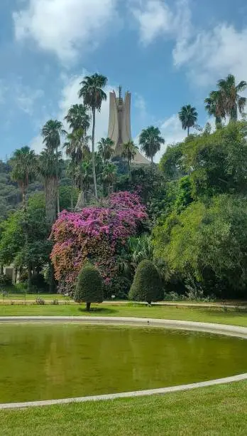 the beauty of the Hamma botanical garden in Algiers