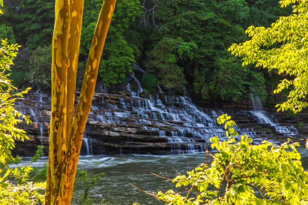 wasser, das über felsen fließt, umrahmt von üppigem goldenem laub in weichem, warmem licht - waterfall stream river tennessee stock-fotos und bilder