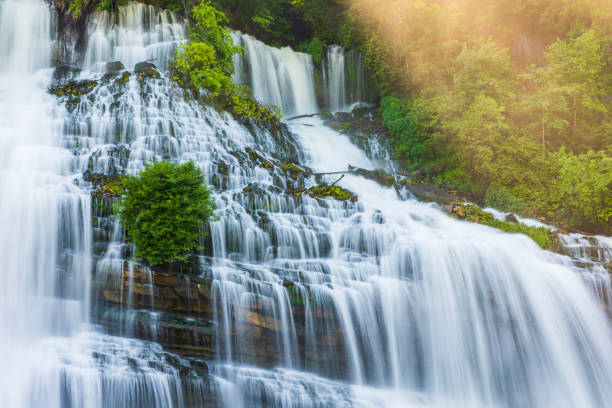 großer wasserfall, der über felsen fließt, umrahmt von üppigem goldenem laub in weichem, warmem licht - waterfall stream river tennessee stock-fotos und bilder