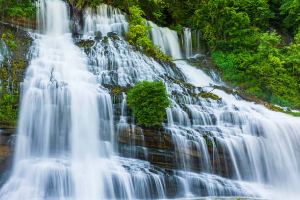 großer wasserfall, der über felsen fließt, umrahmt von üppigem goldenem laub in weichem, warmem licht - waterfall stream river tennessee stock-fotos und bilder