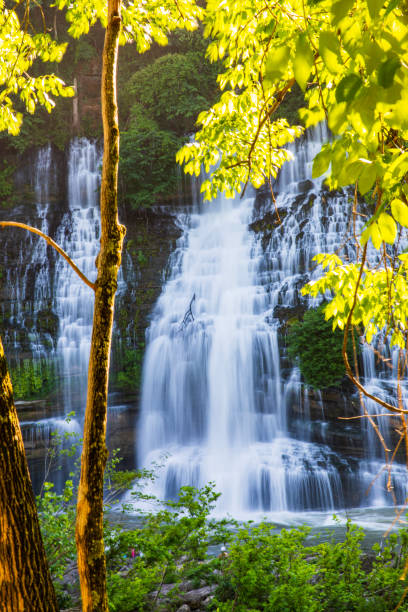 großer wasserfall, der über felsen in den fluss fließt, umrahmt von üppigem goldenem laub in weichem, warmem licht - waterfall stream river tennessee stock-fotos und bilder